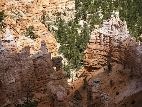 Bryce Canyon Dans Utah Distingue Par Ses Structures Géologiques Appelées — Photo