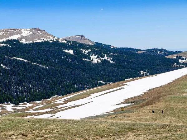 Jackson Hole Snow Fields Grand Teton Mountain Range Grand Teton — Stock Photo, Image