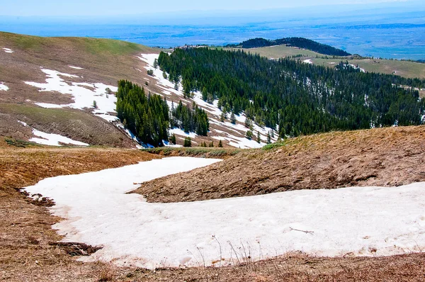 Snow Capped Mountains Jackson Hole Wyoming Snowfields Have Snow Year — Stock Photo, Image