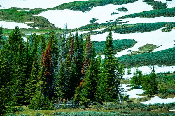 눈덮인 산들이 와이오밍 있습니다 필드는 내리는 등산객들에게 인기가 잭슨은 스키장에서 — 스톡 사진