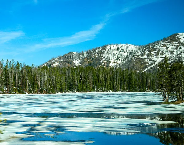 Elven Yellowstone Renner Supervulkanen Prærien Wyoming – stockfoto