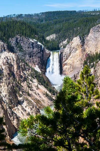 Yellowstone Falls Consist Two Major Waterfalls Yellowstone River Yellowstone National — Stock Photo, Image