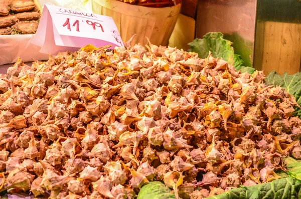 Boqueria pazarında İspanyol yemekleri