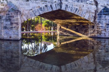 Valencia 'dan gelen bir köprü parkın suyuna yansıyor.