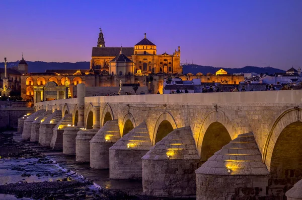 Schöne Aussicht Von Der Römischen Brücke Und Moschee Cordoba Spanien — Stockfoto