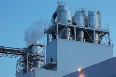 Elinde çilek olan bir tabak..