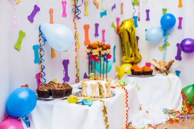 Çok renkli köpek kemikleriyle şenlikli bir arka plan..