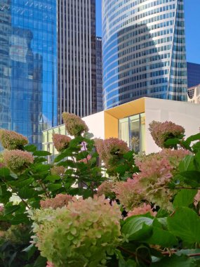 modern office building with flowers and windows