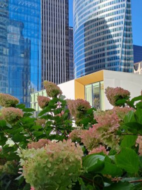 Barselona şehrinin manzarası