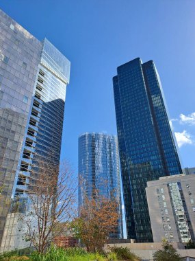 buildings at the bottom of the downtown in the new york