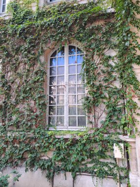 Sokaktaki eski pencere