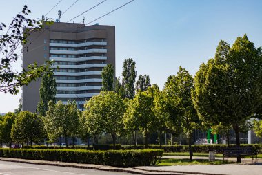 Şehir manzarası: çok katlı bina ve bir sıra ağaçla süslenmiş ana cadde. Güneşli yaz günü dışarıda.