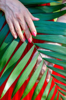 Palmiye yaprağının arka planında çok güzel bir manikür. Bir parmağında karpuz resmi var, diğer parmaklarının hepsi pembe.