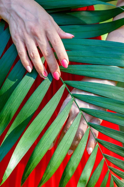 Palmiye yaprağının arka planında çok güzel bir manikür. Bir parmağında karpuz resmi var, diğer parmaklarının hepsi pembe.