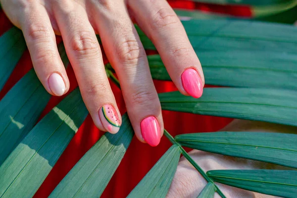 Een Zeer Mooie Manicure Achtergrond Van Een Palmblad Eén Vinger — Stockfoto