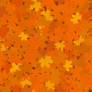 Sonbahar sorunsuz arka plan, sarı ve turuncu düşmüş akçaağaç yaprakları, vektör çizim