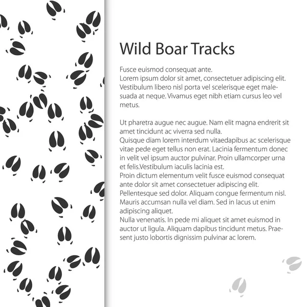 Diseño Cubierta Con Rastros Animales Forestales Rastros Jabalí Depredador Ilustración — Vector de stock