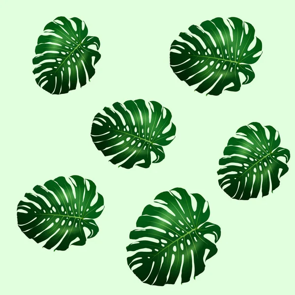Безшовний візерунок з зеленого листя монстра — стоковий вектор