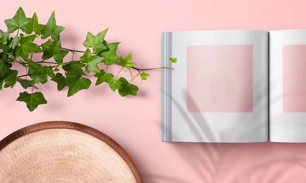 Green plant on the table. Minimalistic branding. Photo album, magazine, notebook or book cover mockup.