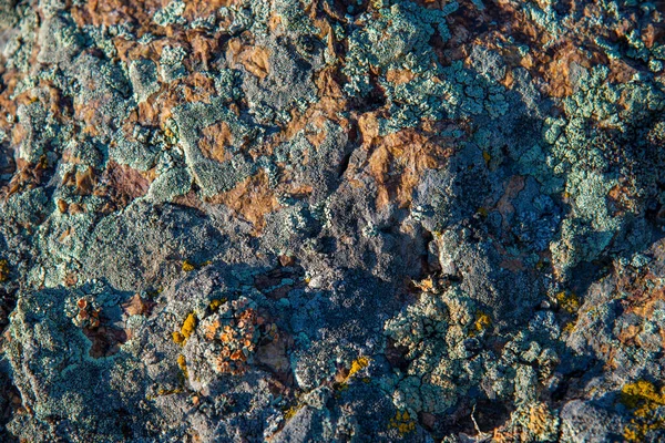 Textura Primer Plano Piedra Silvestre Con Musgo Fondo Abstracto Color —  Fotos de Stock