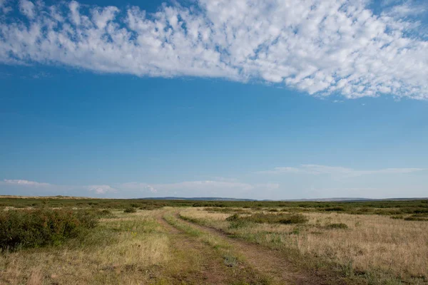 Country Road Vast Plain Summer — Stock Photo, Image