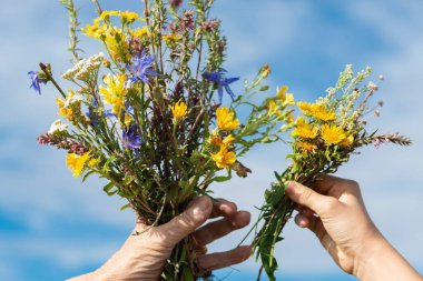 Bir büyükannenin ve bir çocuğun el ele tutuşması gökyüzüne bir buket kır çiçeği kaldırır. Aile kavramı.