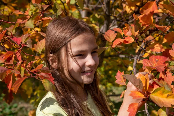 Улыбающаяся Девушка Длинными Волосами Веткой Желто Красных Листьев Осенью — стоковое фото