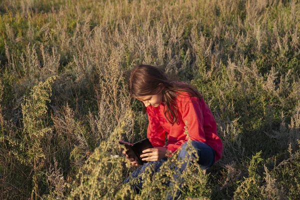 Una Chica Toma Fotos Hierba Con Teléfono Inteligente Campo Verano — Foto de Stock