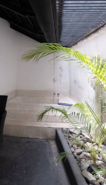 Açık havada palmiye ağaçları ve kirişleri olan küvet.