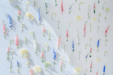 Beyaz, mavi, pembe, sarı renklerden oluşan bir duvara sabitlenmiş bir sürü çiçek. Ev dekoru arka planı. Çiçek renkli kurulum. Seçici odak.