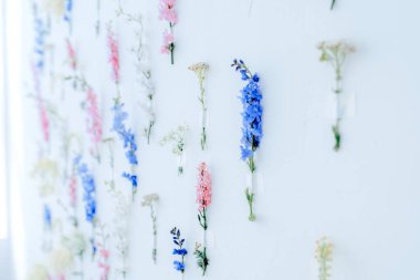 Beyaz, mavi, pembe, sarı renklerden oluşan bir duvara sabitlenmiş bir sürü çiçek. Duvar Çiçeği. Duvarların dekorasyonu. Seçici odak.