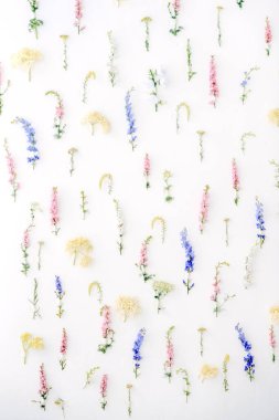 Beyaz, mavi, pembe, sarı renklerden oluşan bir duvara sabitlenmiş bir sürü çiçek. Ev dekoru arka planı. Çiçek renkli kurulum. Seçici odak.