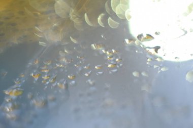 Siyah arkaplanda soyut simler var. Seçici odak, gürültü efekti ve tonlama ile resim