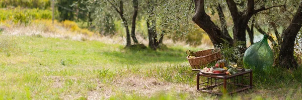 Romantic picnic under olive tree. Delicious italian meal served on a wooden table. Baskets with food, branches in glass jar. Sunny autumn day. Italy, Tuscany. Banner. Copy space