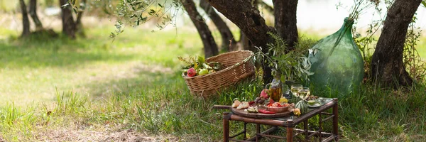 Romantic picnic under olive tree. Delicious italian meal served on a wooden table. Baskets with food, branches in glass jar. Sunny autumn day. Italy, Tuscany. Banner. Copy space