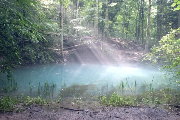 Lake Ochiul Beiului Dağları Caras Severin içinde Milli Parkı Cheile Nerei Romanya 26 2018 olabilir