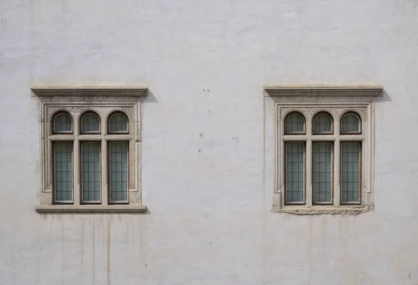 Semelhanças Com Diferenças Visíveis — Fotografia de Stock