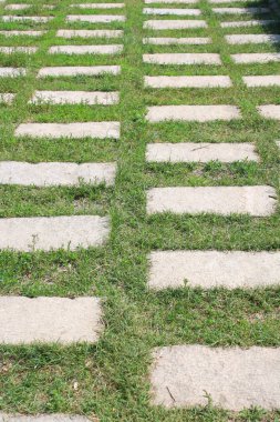 Parktaki taş patika