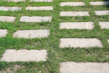 Parktaki taş patika