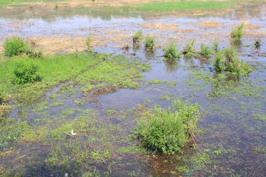 Sulak alan park bahar