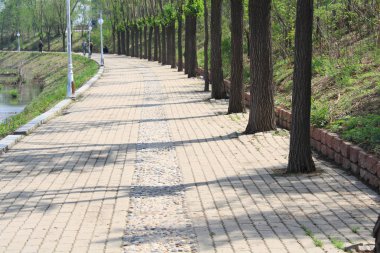 Ormandaki küçük yol