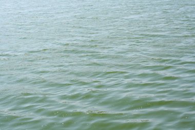 Tatlı su yüzey dokusunu arka plan