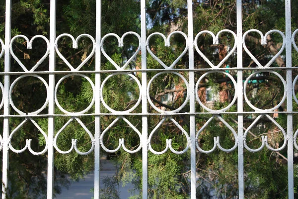 Closeup Iron Fence Fence — Stock Photo, Image