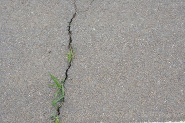 Asfalt yoldan kapatın