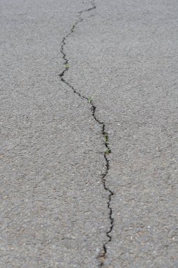 Asfalt yoldan kapatın