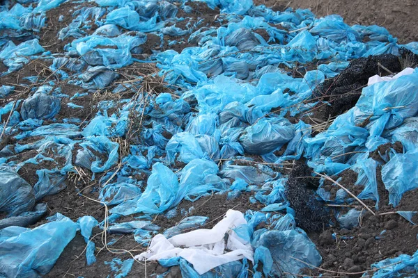 Sac Plastique Pollution Urbaine — Photo