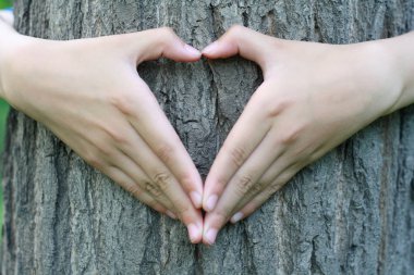 El sarılmak ağaç şeklinde kalp