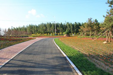 Eğri yeni asfalt yol