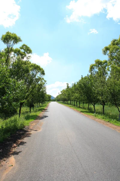 Estrada Asfalto Rural Verão — Fotografia de Stock