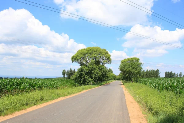 Strada Asfaltata Rurale Estate — Foto Stock